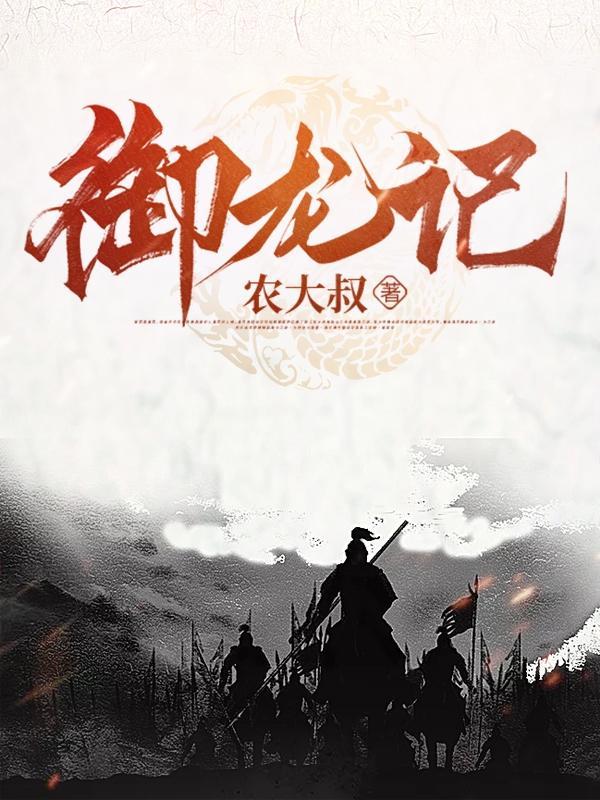 御龙记封面