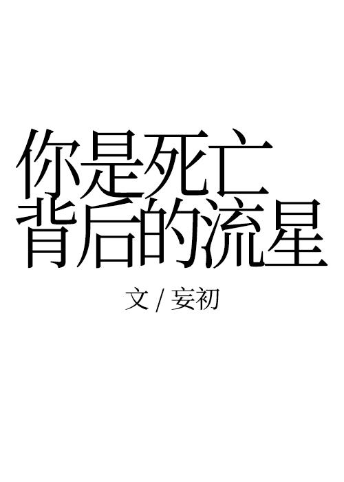 你是死亡背后的流星封面