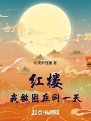 红楼：我被困在同一天封面