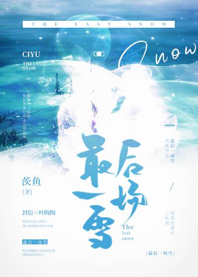 最后一场雪封面