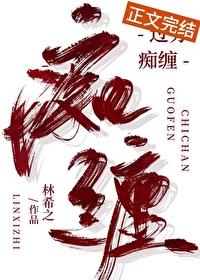 过分痴缠封面