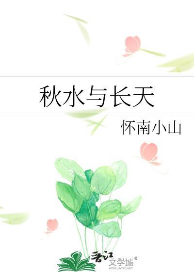 秋水与长天封面