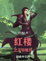 红楼之王爷难为封面