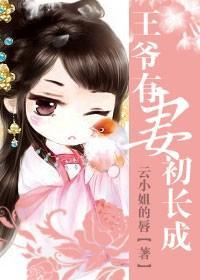 王爷有妻初长成封面