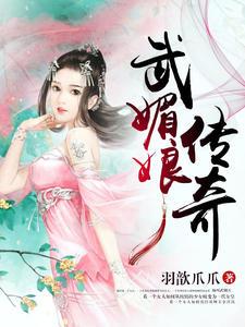武媚娘传奇武媚李治封面