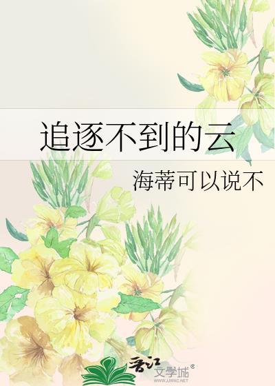 追逐不到的云封面