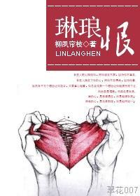琳琅恨封面