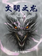 文明之龙封面