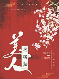 美人抱瑶瑟封面
