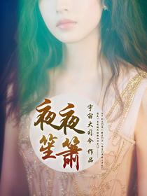 夜夜笙箫李峰唐婉封面