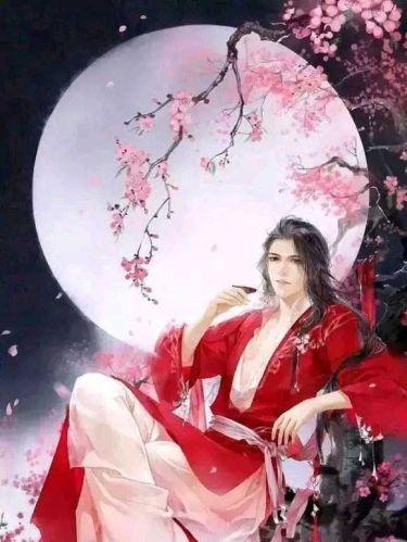 天煞桃花封面