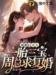 离婚后,夫人一胎三宝周总求覆婚封面