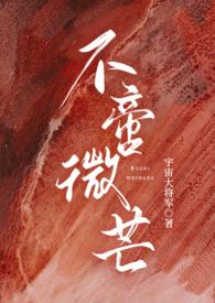 不啻微芒封面