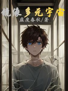 镜像多元宇宙封面