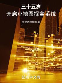 三十五岁，开启小地图探宝系统封面