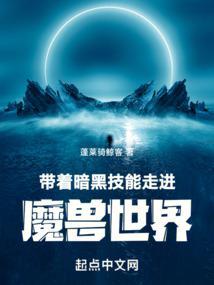 带着暗黑技能走进魔兽世界封面
