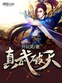 真武破天封面