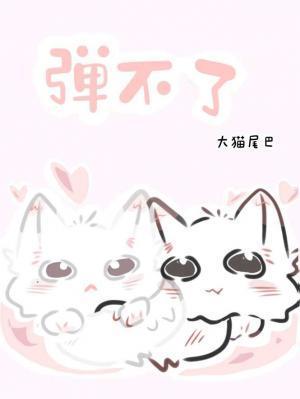 弹不了封面