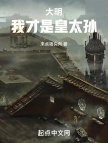 大明：我才是皇太孙封面
