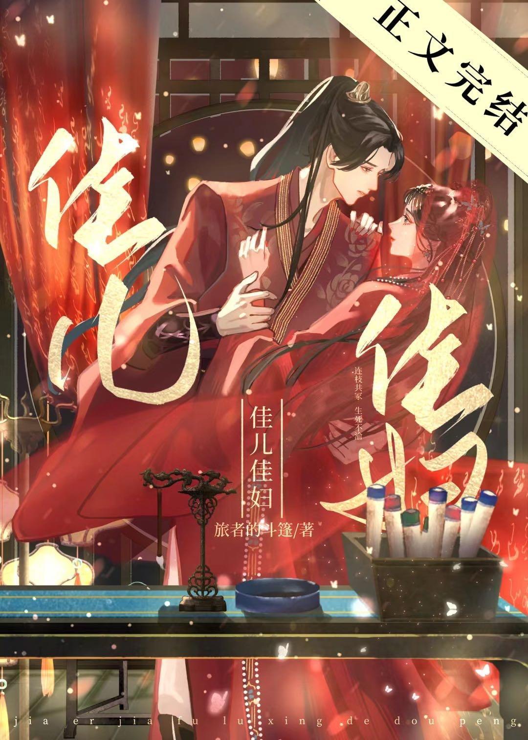 佳儿佳妇封面