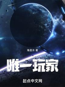 唯一玩家封面