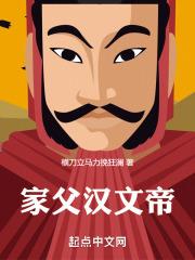 家父汉文帝封面