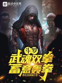 斗罗：武魂双拳，蓄意轰拳封面