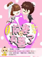 水安络楚泞翼封面