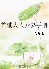 首辅大人养妻手册楚翘封面