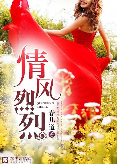 情风烈烈封面