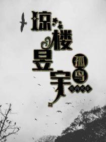 琼楼昱宇：孤鸟封面
