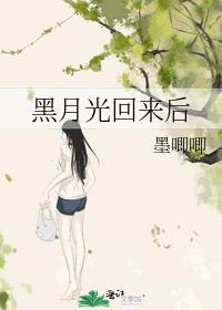 黑月光回来后封面
