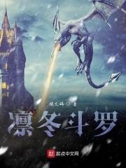 凛冬斗罗封面