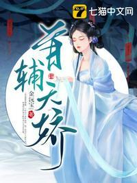 首辅天骄封面
