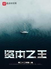 资本之王封面
