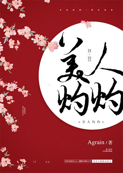 美人灼灼封面