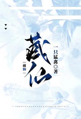 藏仙封面
