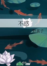 不惑封面