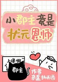 小郡主竟是状元恩师封面
