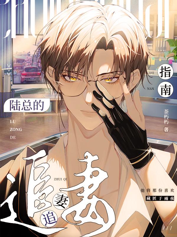 陆总的追妻指南封面