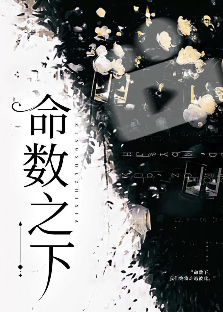 命数替身封面