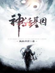 神话基因封面