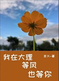 我在大理等风也等你封面