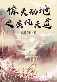 惊天动地之疾风天道封面