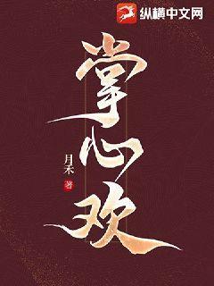 掌心欢封面