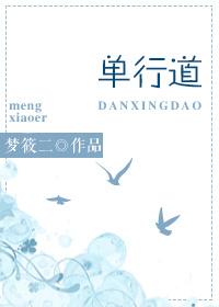 单行道封面