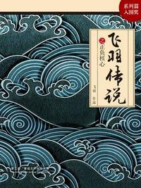 飞羽传说之正负核心封面