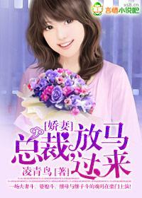 娇妻：总裁，放马过来封面