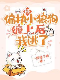 被偏执小狼狗缠上后我逃了封面