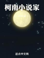 柯南小说家封面